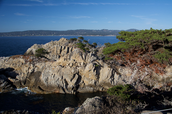 Point Lobos 3D