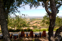 Images of Paso Robles Wine Country