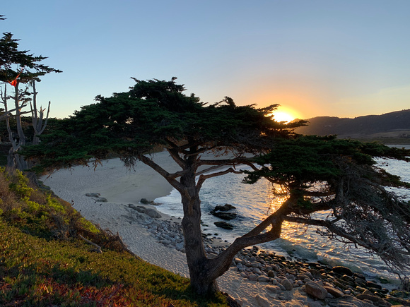 Sunrise Over Monterey Cypress