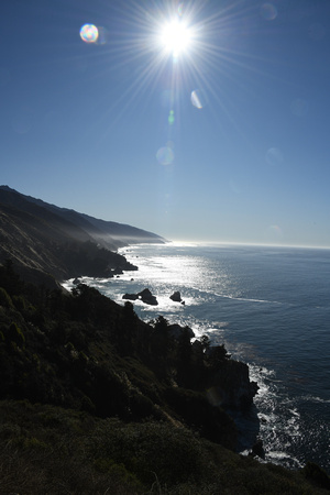 Morning Sun on Big Sur Coast Portrait