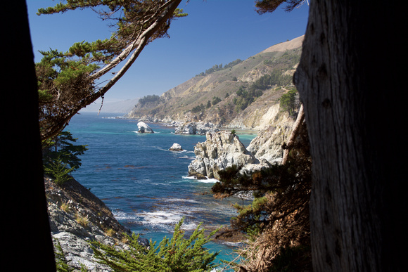 Big Sur Coast Through Trees 3D