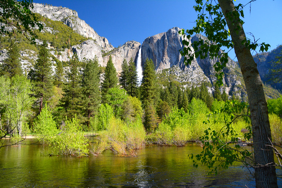 Yosemite Falls at Merced River 3D
