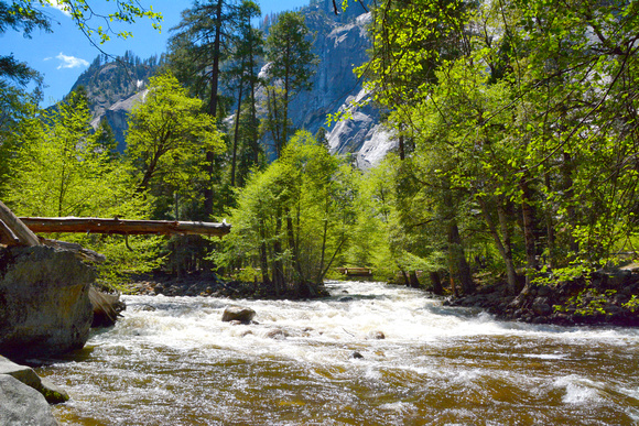 Yosemite Fast River
